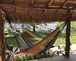 Cielo Hammocks Hammock Bakal