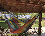 Cielo Hammocks Hammock Bakal