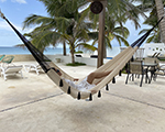 Cielo Hammocks Hammock Coralina