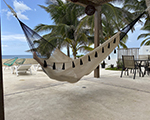 Cielo Hammocks Hammock Coralina