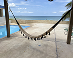 Cielo Hammocks Hammock Coralina