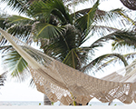 Cielo Hammocks Ideal Mayan Deluxe XL, cotton made