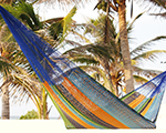 Cielo Hammocks Medium