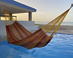 Cielo Hammocks Hammock Tequila Matrimonial