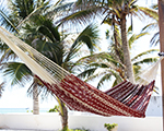 Cielo Hammocks Ideal Burgundy & Ecru Large, cotton made