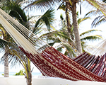 Cielo Hammocks Ideal Burgundy & Ecru Large, cotton made